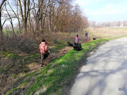 Субботник весна-2019