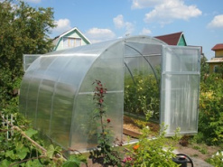 Теплица Киновская Агро