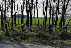 Субботник весна-2019