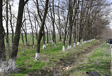 Субботник весна-2019