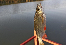 Корпоративная Рыбалка на базе отдыха "Лагутник".