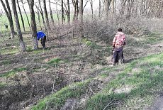Субботник весна-2019