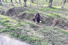 Субботник весна-2019