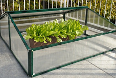 Теплицы из поликарбоната